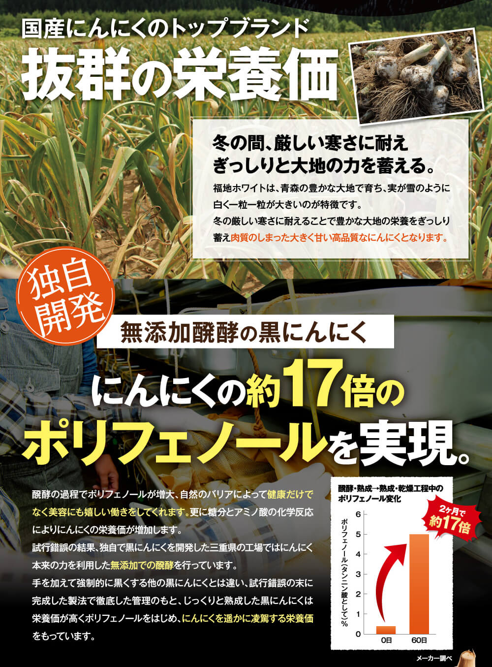 国産にんにくのトップブランドの抜群の栄養価。にんにくの約１７倍のポリフェノール配合