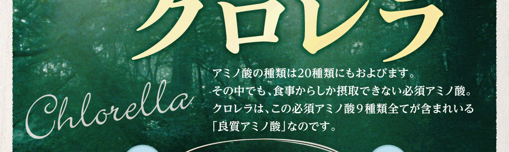 必須アミノ酸が全て含まれているクロレラ配合