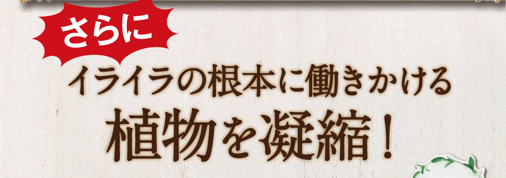 更にストレスの根本に働きかける