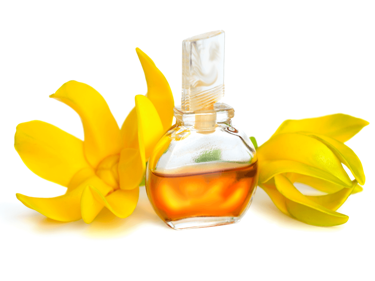 イランイランのおすすめ香水18選！官能的な魅力を高めよう | FELICE
