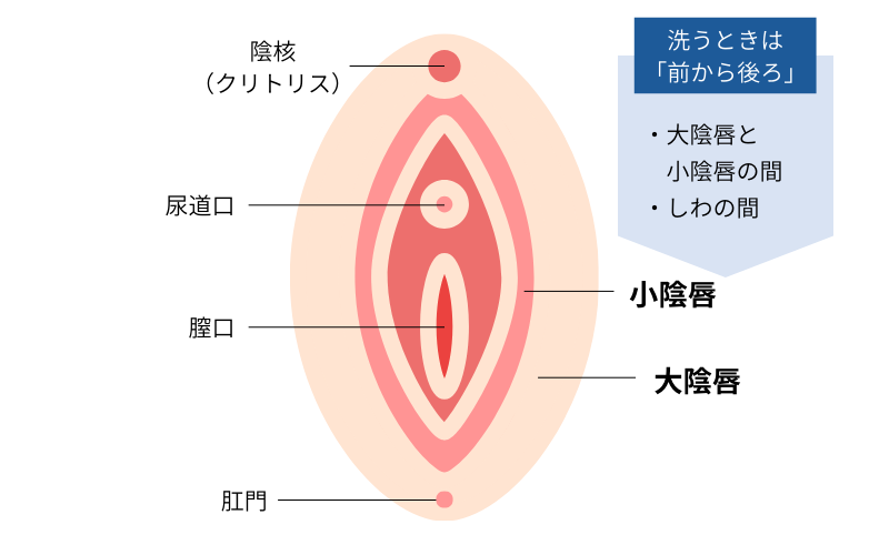 正しいデリケートゾーンの洗い方